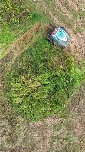 #weeding #cleaninglife #robotmowers #foryou #videoviral #robot lawn mower#landscaping #viral