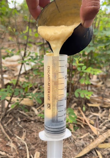 Smart Soap Saving Ideas for Bushcraft and Camping