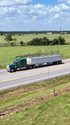 Old School 1987 Peterbilt 379 EXHD with 3406B Caterpillar rolling coal for corn harvest 2023 #peterbilt #379 #coal #rollingcoal #peterbilt379 #1987 #1980s #exhd #3406 #3406b #3406b #cat #caterpillar #corn #cornharvest #harvest2023 #grain #graintrailer #green #fypシ #foryou