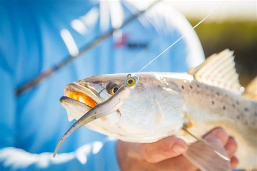 Top 10 Inshore Fishing Lures - Game & Fish