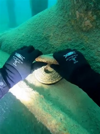 Undiscovered Life Under the Sea Revealed