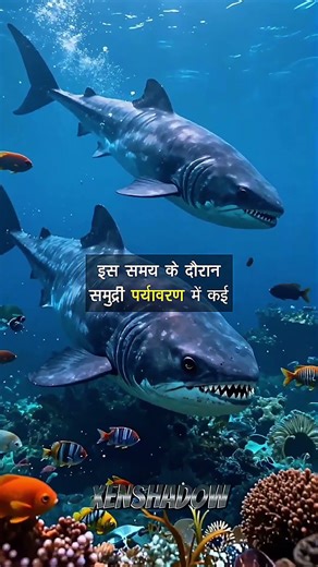 540 Million Saal Pehle Kya Hua Tha? Cambrian Explosion Mystery!😱😱 #ytshorts #hindifacts #xenshadow