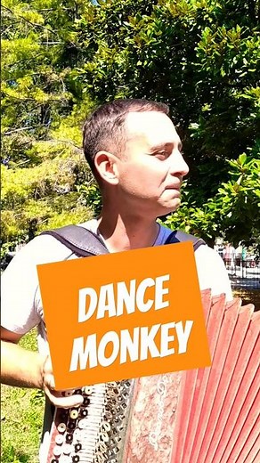 Dance monkey