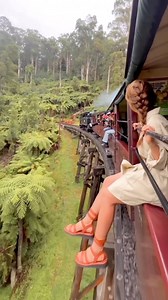 @1amny gives us a look at one of the coolest train rides in the world! 📍This is the Puffing Billy Railway near Melbourne, Australia The Puffing Billy, also known as the model of the cartoon Thomas the Train in Melbourne, Australia, is said to be the best preserved steam locomotive in the world. It’s now used as a great way for tourists to tour Victoria’s beautiful nature. Doesn’t it look like a scene from a movie? This is a must do when in Melbourne, Australia 🇦🇺 Recommended: sit on the right