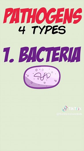 Understanding the Four Types of Pathogens for GCSE Biology