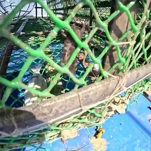 442K views · 3.5K reactions | Ngayon Lang Samin Nangyare To! | AmazingSea Vlog | Facebook