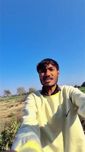 #vlog 114 पेड़ बना पतंग का खजाना! 🪁🌳 #kiteflying #kite #shorts