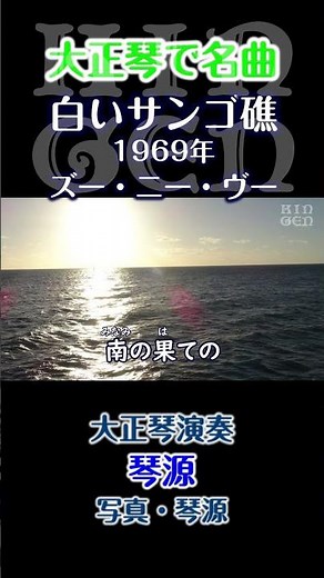 【大正琴】白いサンゴ礁(歌詞あり) 演奏：琴源 #大正琴 #shortsvideo #shorts #shortsvideo