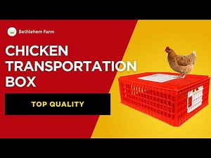 AI-Made Chicken Transportation Box | Innovative Poultry Transport Solution 🐓🚚"