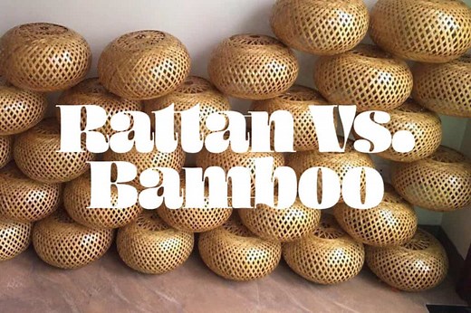 Rattan Vs. Bamboo - Differences In Materials Explained | Mondoro