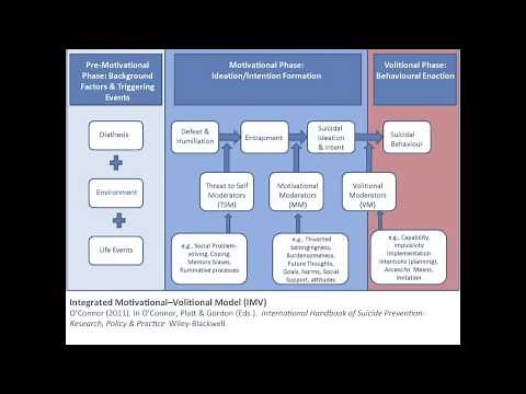 IMV model of suicidal behaviour