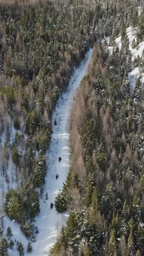 visitmontana on Instagram: "Looking for a weekend getaway? Here’s our itinerary for a wintery escape in Seeley Lake, Montana. #WeekendItinerary #CrossCountrySkiing #Snowmobile #SleighRide"