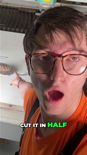 This Mammoth Tooth Looks Like the Titanic 🚢