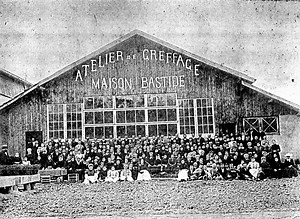 Toulouse. Durant près de 60 ans, un immense élevage de perruches a animé ce quartier de la ville