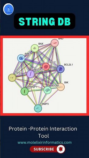 STRING DB| Protein Protein Interaction Tools #bioinformatics #biotechnology #biochemistry