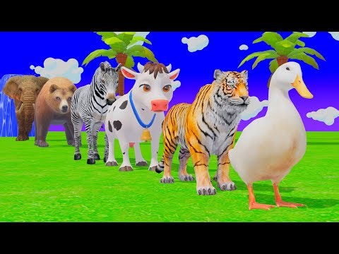Long Slide Game with Tigers Lion Cow Hippopotamus Gorilla 3d Animal Game Funny 3d Animals