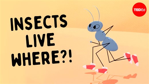 38K views · 318 reactions | Are there any places on Earth where there are no bugs? | TED-Ed | Facebook