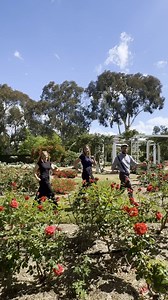 30 reactions | Striding through Old Parliament House, come join us!  | Museum of Australian Democracy at Old Parliament House | Facebook