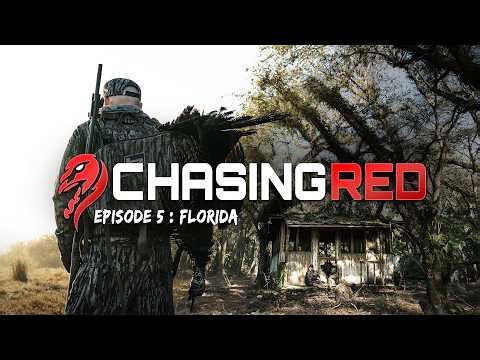 Osceola At Point Blank Range | Turkey Hunting 2026