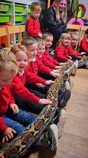 🏫🙋‍♂️🐍🙋‍♀️ #nurseryfun today at Ladybird Lane Day Nursery, Preschool & After School Club Always great to be back each year to this amazing place. #checkout the brave boys and girls today learning all about how snakes move, by feeling those muscles move along their legs and getting the chance to feel that a snakes skin is not one bit slimey. Education is always key in getting the misunderstood animals of the natural world to be loved and cared for as well, with a little help and understanding