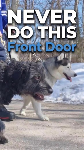 Don’t Introduce Dogs at the Front Door