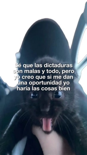 mariwanoautista 🧛🏻 | . . . . . . #chileanmemes #memeschilenos #real #relatable #typeshit #donders #cats #meme #capcut #mariwanoautista | Instagram