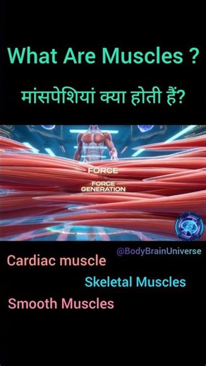 Muscles Kaise Kaam Karte Hain? | Muscle Contraction & Types Explained