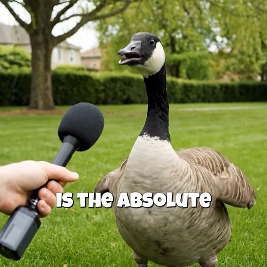 Absolute menace 😭 #animals | Game Echo