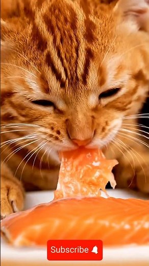 ASMR Cat Eating a Salmon – Satisfying Crunchy Sounds