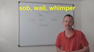 #简单英语表达 533: sob VS wail VS whimper (Shane老师)