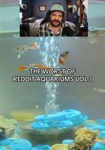 The internet is a wonderful place where we can scope each others mistakes.