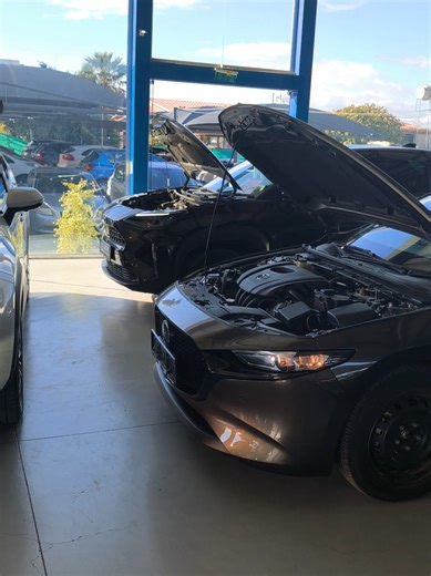 Essential Daily Vehicle Maintenance Checks