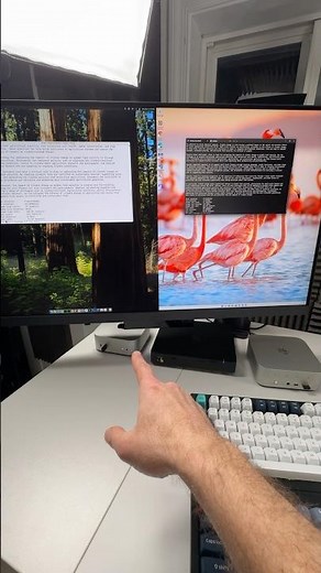 M4 Mac Mini vs AI mini PC
