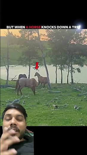 🐘 Elephant Uproots a Whole Tree… Then a Horse Does the IMPOSSIBLE! 😱🐴🌳 #Shorts