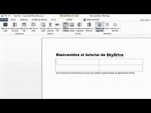 SkyDrive 1° parte