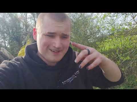 Dog walk waffle and tree