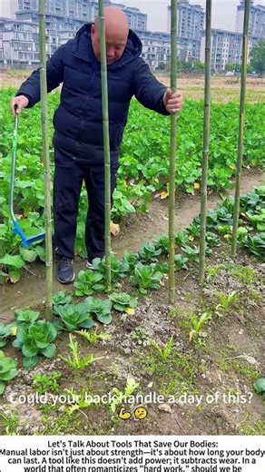 Stand & Deliver: Power-Staking a Veggie Patch 🥒🔨