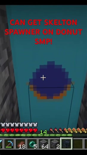 FREE SKELLY SPAWNER ON DONUT SMP