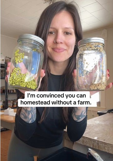 Call me crazy but I’m convinced you can homestead without a property and a farm. Homesteading encompasses a lot of diffent things and it’s kind of a subjective term. It can mean whatever you want it to mean. Maybe it’s growing seeds in a window and maybe it’s milking a cow every morning. But, I promise you, you can start your journey right where you are now. Even in an apartment. You can grow fresh sprouts in a jar on your counter! All you need are some seeds , a mason jar a piece of cheesecloth