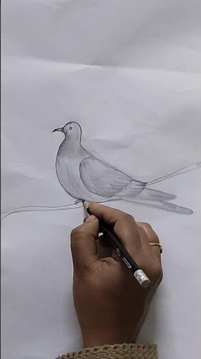 How to draw a beautiful pigeon with pencil