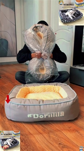 Washable Dog Bed for Cats and Pets