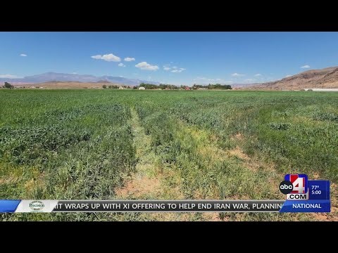 Southern Utah farmer's field damaged by TikTok trend