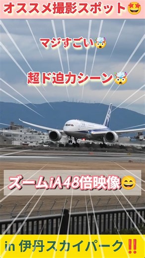 【オススメ撮影スポット🤩マジすごい🤯超ド迫力シーン🤯ビデオカメラのズーム力‼️】#ANA #plane #飛行機 #비행기 #shorts #伊丹空港 #オススメ #airport #short