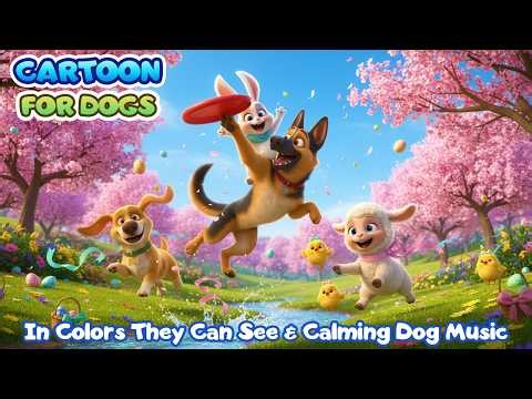24 Hours Dog Cartoon 🎨🐕 in Colors Dogs Can See | Best Entertain & Anti-Anxiety for Dogs Home Alone
