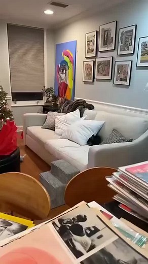 Adorable Dachshund Moments That Will Melt Your Heart