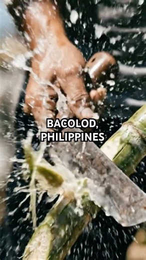 THIS JOB TAKES FORCE. [SUGARCANE CUTTER l Manggagapas ng Tubo IN BACOLOD 🇵🇭]