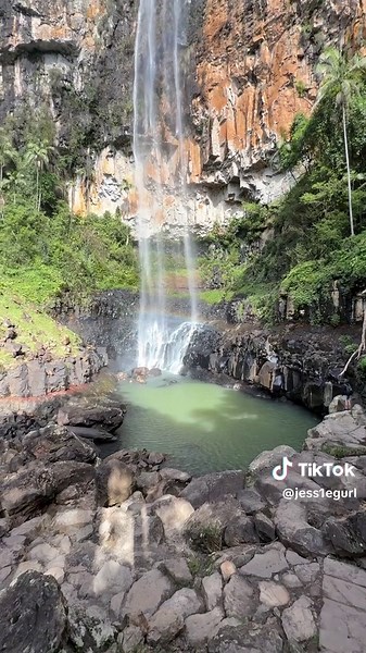 Discover Purling Brook Falls in Springbrook National Park