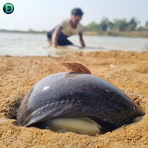 Unbelievable technique big stuck monster barracuda fish catching form deep underground hole #fish #fishing part 2 | Discovery Site