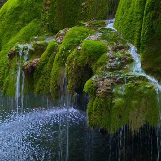 #DidYouKnow: Romania was the first European country to introduce street lights? Discover more hidden Romanian facts in "Unknown Carpathians: Hidden Treasures of Romania!" 🇷🇴 #Romania 📺 Watch Link: https://curiosity.tv/ogbrwpb | Curiosity Stream