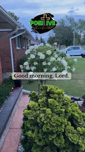 5.6K views · 833 reactions | ⚜️A Powerful Prayer to Start this blessed day ⚜️ #Dailylife #Inspirational #pray #peace #deliverance #love #jesuslovesyou #christian #scripture #putgodfirst #bibleverse #healing #grace #fyp #foryoupage #worship #forgiveness #motivation #inspiration #praise #personalgrowth #spiritualgrowth #spirituality | Positive Confessionz | Facebook